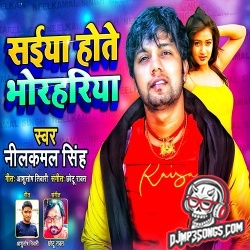 Hote Bhorhariya Bathe Lagal Kamariya Raja Ho Dj Remix