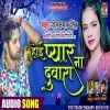 Hoi Pyar Na Dubara Neelkamal Singh Mp3 Song Download