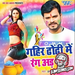 Gahir Dhodi Me Rang Ad Jaai Dj Remix