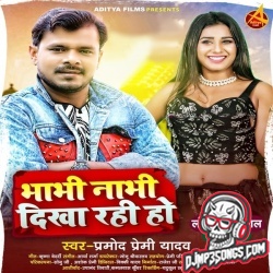 Bhabhi Nabhi Dikha Rahi Ho Dj Remix