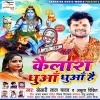Kailash Dhuwa Dhuwa Hai Khesari Lal Yadav, Amrita Dixit Mp3 Song Download